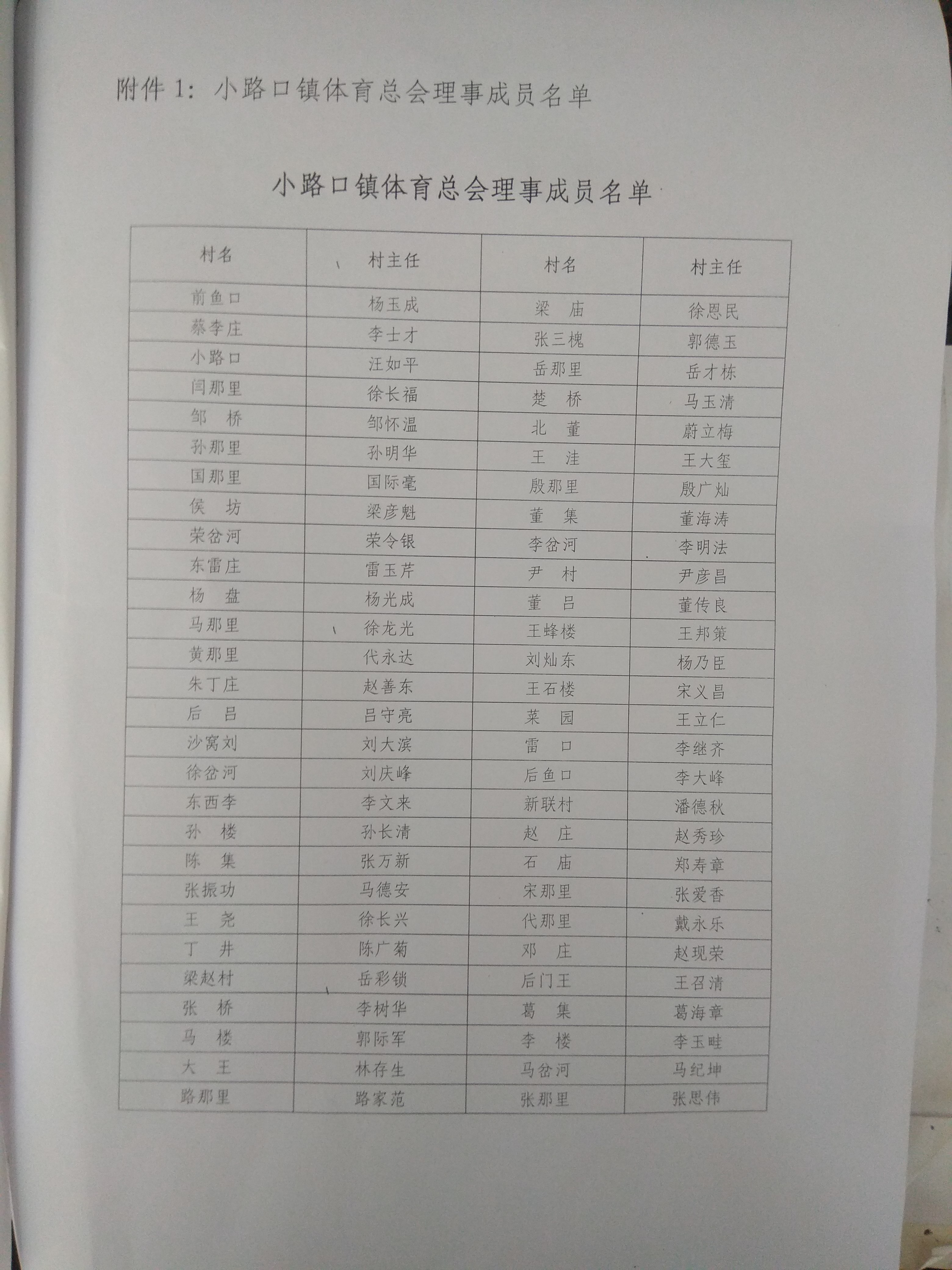 小路口镇体育总会成立文件2.jpg