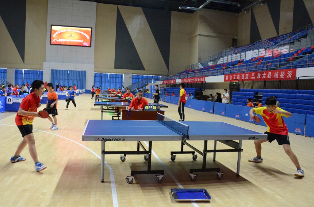 临沂市第七届运动会 少年儿童组乒乓球比赛