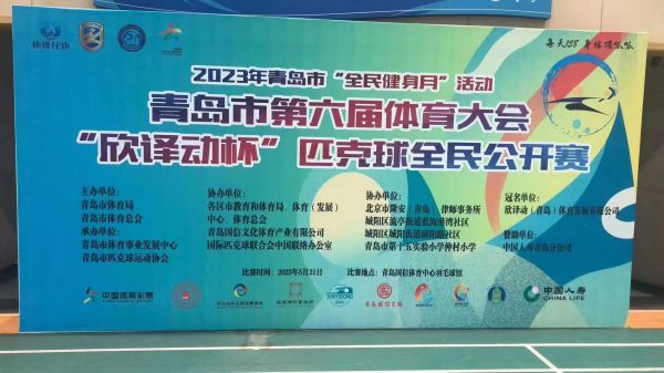 青岛市第六届体育大会欣译动杯匹克球全民公开赛成功举办(图1)