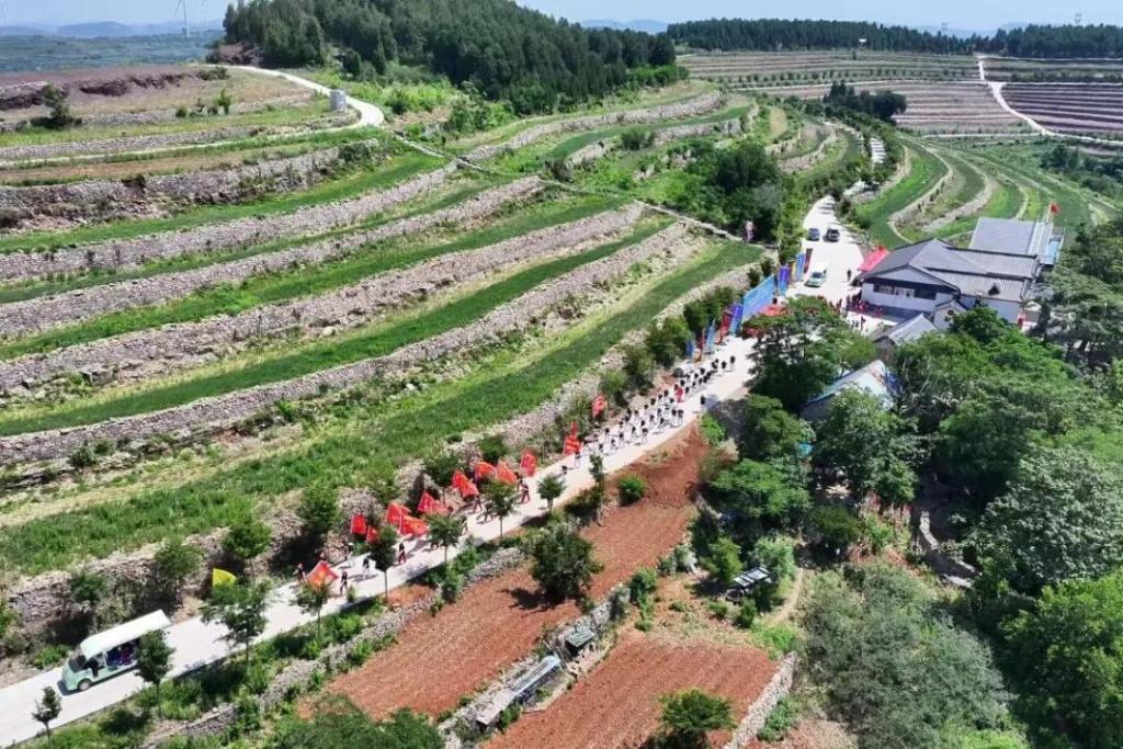 84689163afc370504e94eda2d779ecb5.jpg